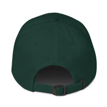 Load image into Gallery viewer, Miami Skate Academy Design- MSA Gators Dad hat